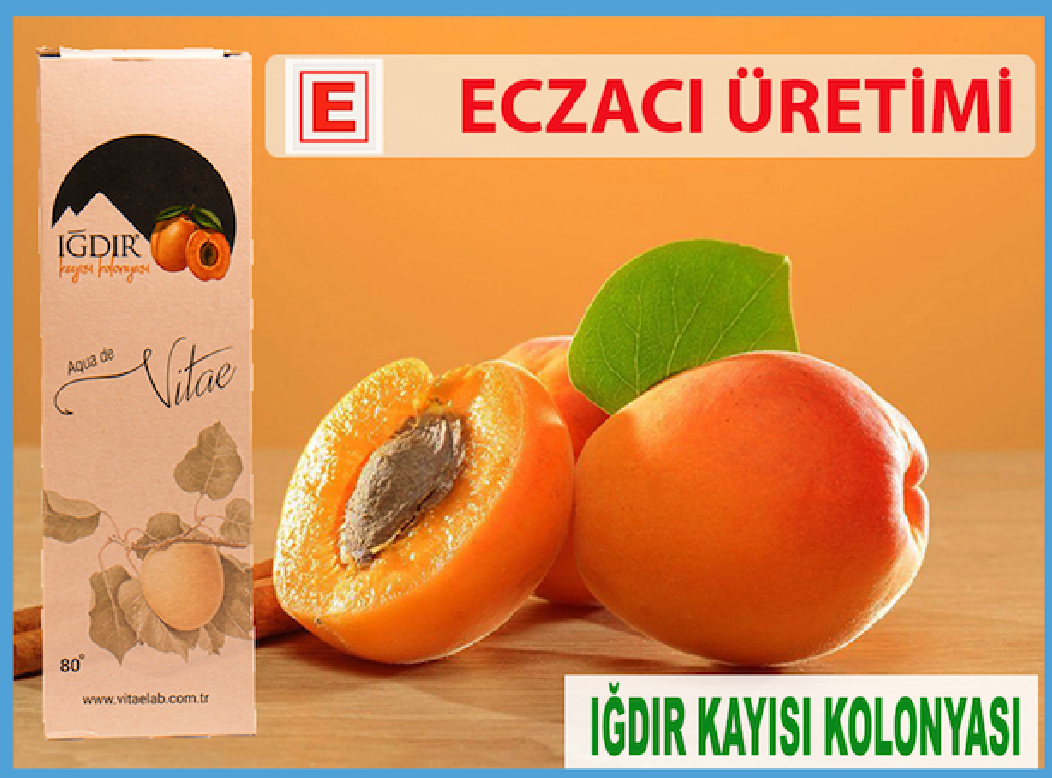 ODAMIZ İKTİSADİ İŞLETMESİNDE SATIŞA SUNULAN ÜRÜNLER